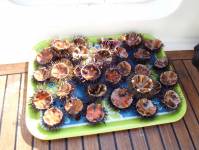 Nos prestations sur le secteur de Hyères près de Porquerolles